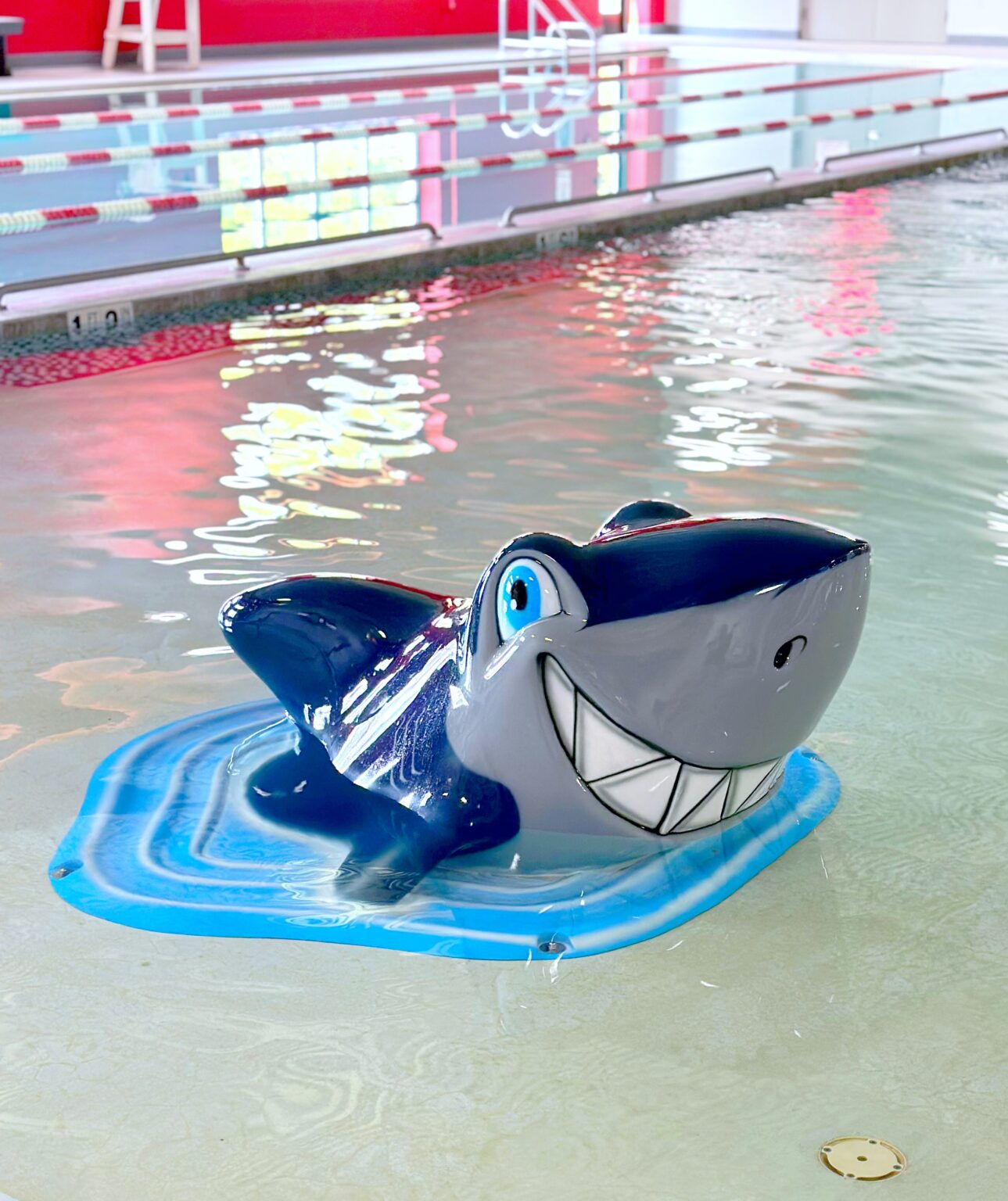 Indoor & Outdoor Pools – Lititz Rec